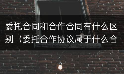 委托合同和合作合同有什么区别（委托合作协议属于什么合同）