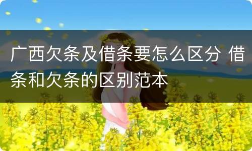 广西欠条及借条要怎么区分 借条和欠条的区别范本