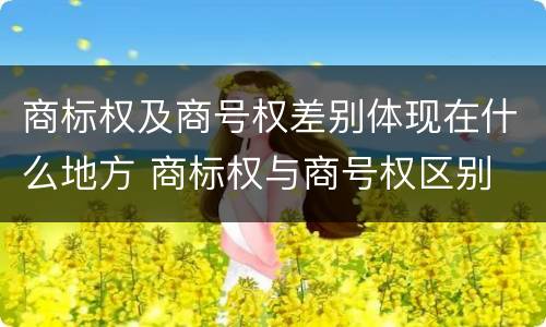 商标权及商号权差别体现在什么地方 商标权与商号权区别