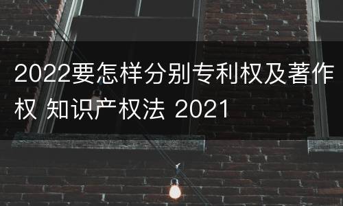 2022要怎样分别专利权及著作权 知识产权法 2021