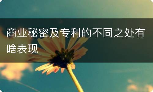 商业秘密及专利的不同之处有啥表现