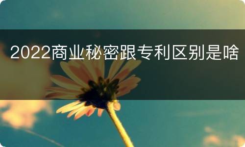 2022商业秘密跟专利区别是啥