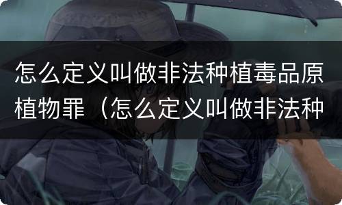 怎么定义叫做非法种植毒品原植物罪（怎么定义叫做非法种植毒品原植物罪名）