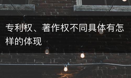 专利权、著作权不同具体有怎样的体现