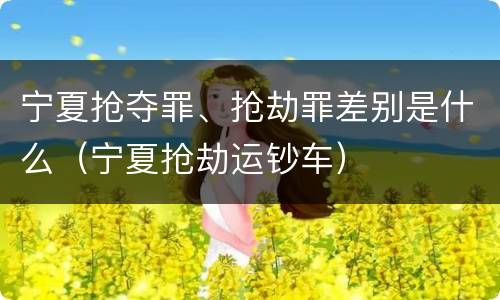 宁夏抢夺罪、抢劫罪差别是什么（宁夏抢劫运钞车）