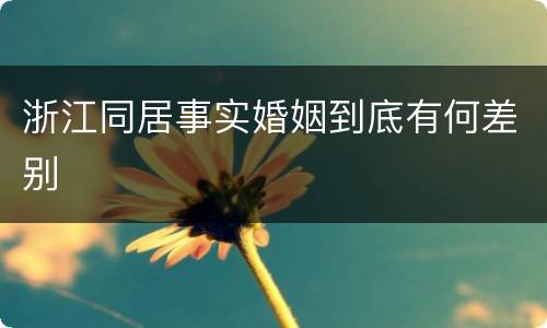 浙江同居事实婚姻到底有何差别