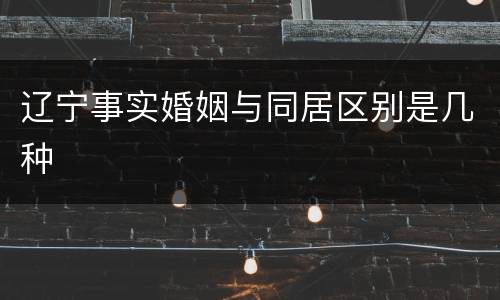 辽宁事实婚姻与同居区别是几种