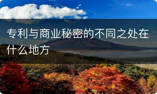 专利与商业秘密的不同之处在什么地方