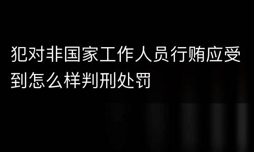 犯对非国家工作人员行贿应受到怎么样判刑处罚