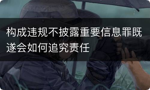 构成违规不披露重要信息罪既遂会如何追究责任