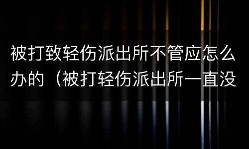 被打致轻伤派出所不管应怎么办的（被打轻伤派出所一直没结果）
