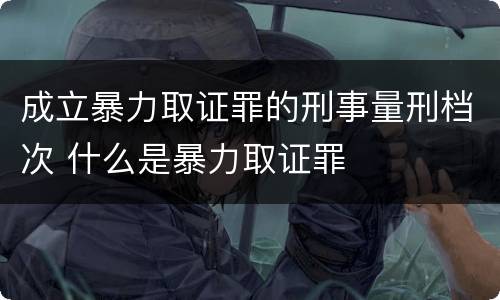 成立暴力取证罪的刑事量刑档次 什么是暴力取证罪