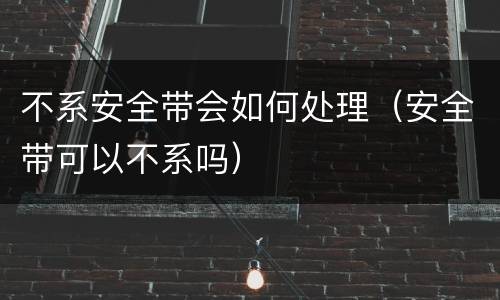 不系安全带会如何处理（安全带可以不系吗）