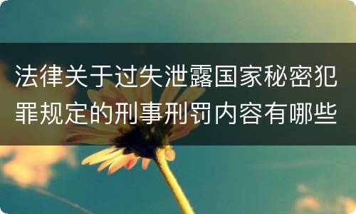 法律关于过失泄露国家秘密犯罪规定的刑事刑罚内容有哪些