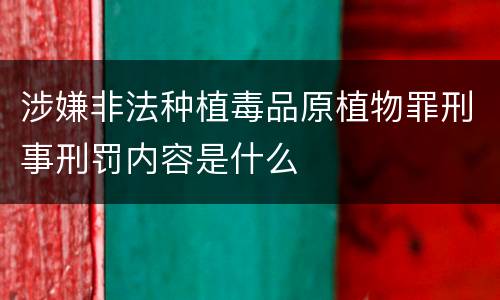 涉嫌非法种植毒品原植物罪刑事刑罚内容是什么