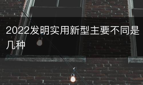 2022发明实用新型主要不同是几种