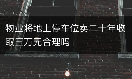 物业将地上停车位卖二十年收取三万元合理吗