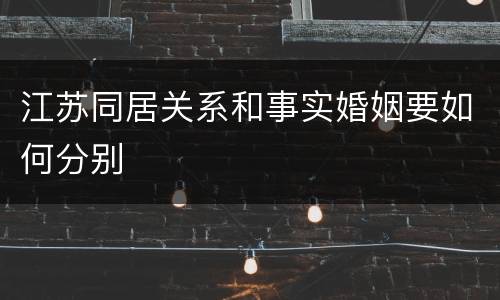 江苏同居关系和事实婚姻要如何分别