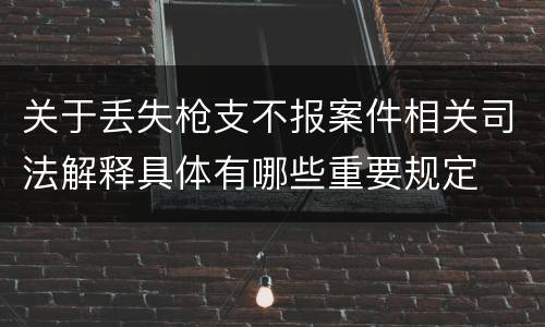 关于丢失枪支不报案件相关司法解释具体有哪些重要规定