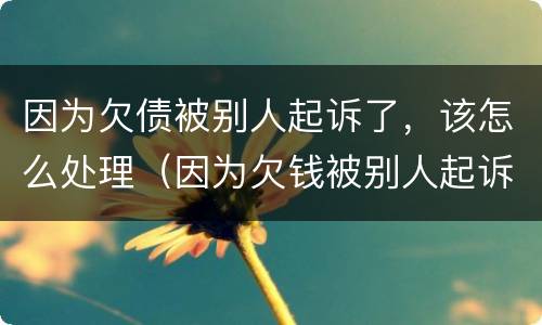 因为欠债被别人起诉了，该怎么处理（因为欠钱被别人起诉有什么后果）