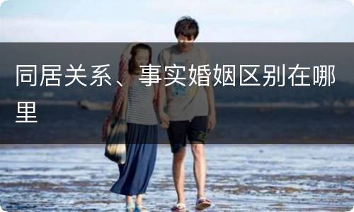 同居关系、事实婚姻区别在哪里