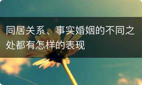 同居关系、事实婚姻的不同之处都有怎样的表现