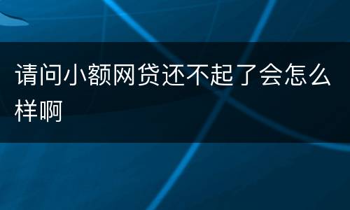请问小额网贷还不起了会怎么样啊