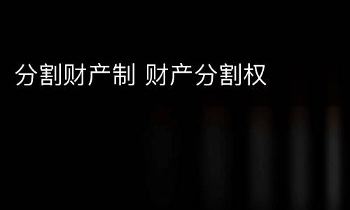 分割财产制 财产分割权