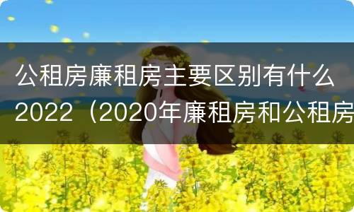 公租房廉租房主要区别有什么2022（2020年廉租房和公租房的区别）