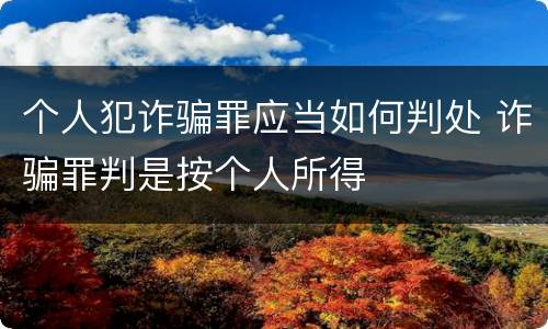 个人犯诈骗罪应当如何判处 诈骗罪判是按个人所得