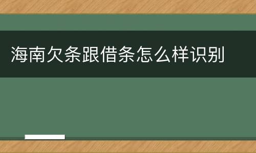 海南欠条跟借条怎么样识别
