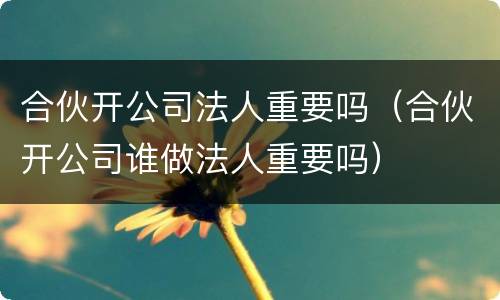合伙开公司法人重要吗（合伙开公司谁做法人重要吗）