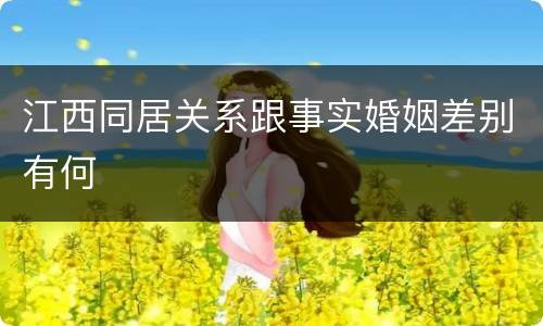 江西同居关系跟事实婚姻差别有何