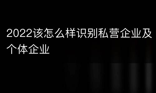 2022该怎么样识别私营企业及个体企业