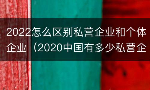 2022怎么区别私营企业和个体企业（2020中国有多少私营企业）