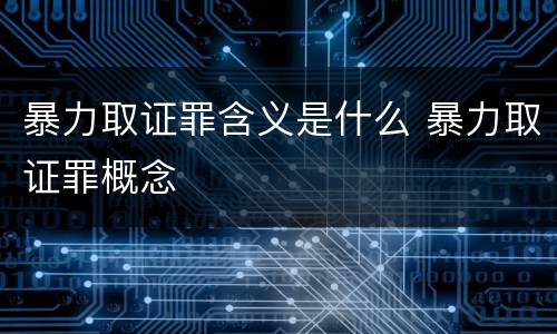 暴力取证罪含义是什么 暴力取证罪概念