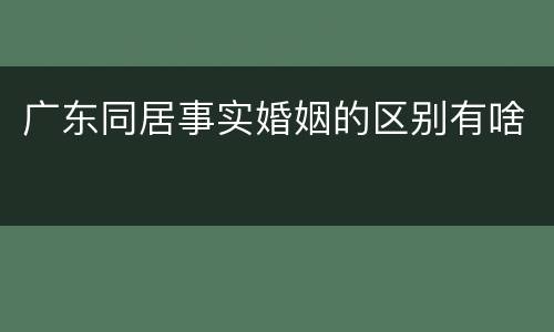 广东同居事实婚姻的区别有啥