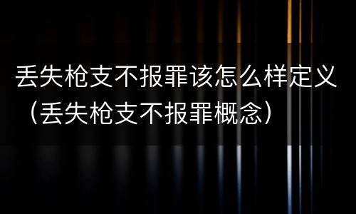 丢失枪支不报罪该怎么样定义（丢失枪支不报罪概念）
