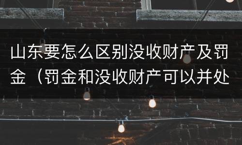 山东要怎么区别没收财产及罚金（罚金和没收财产可以并处吗）