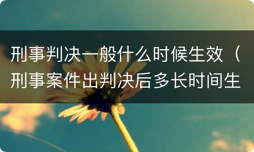 刑事判决一般什么时候生效（刑事案件出判决后多长时间生效）