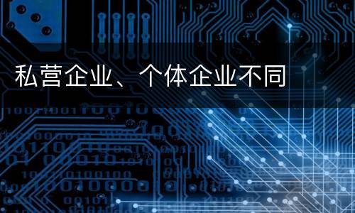 私营企业、个体企业不同