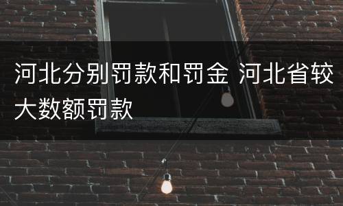 河北分别罚款和罚金 河北省较大数额罚款