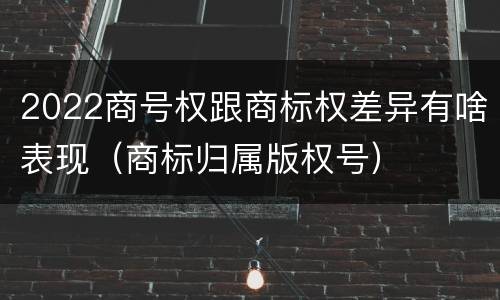 2022商号权跟商标权差异有啥表现（商标归属版权号）