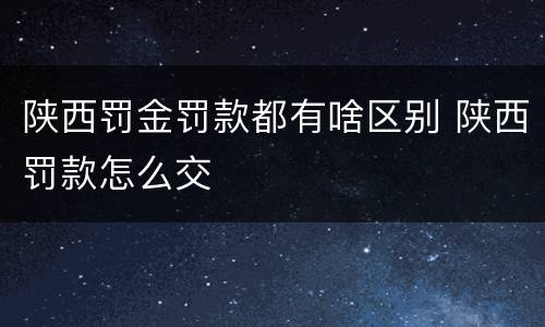 陕西罚金罚款都有啥区别 陕西罚款怎么交
