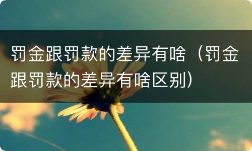 罚金跟罚款的差异有啥（罚金跟罚款的差异有啥区别）
