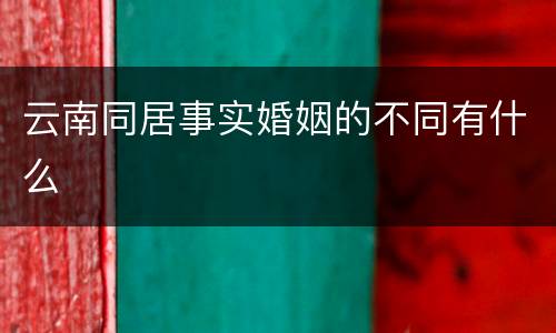 云南同居事实婚姻的不同有什么