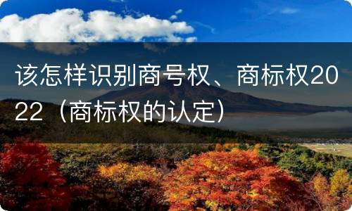 该怎样识别商号权、商标权2022（商标权的认定）
