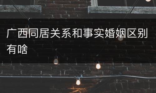 广西同居关系和事实婚姻区别有啥