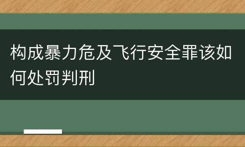 构成暴力危及飞行安全罪该如何处罚判刑