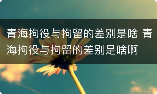 青海拘役与拘留的差别是啥 青海拘役与拘留的差别是啥啊